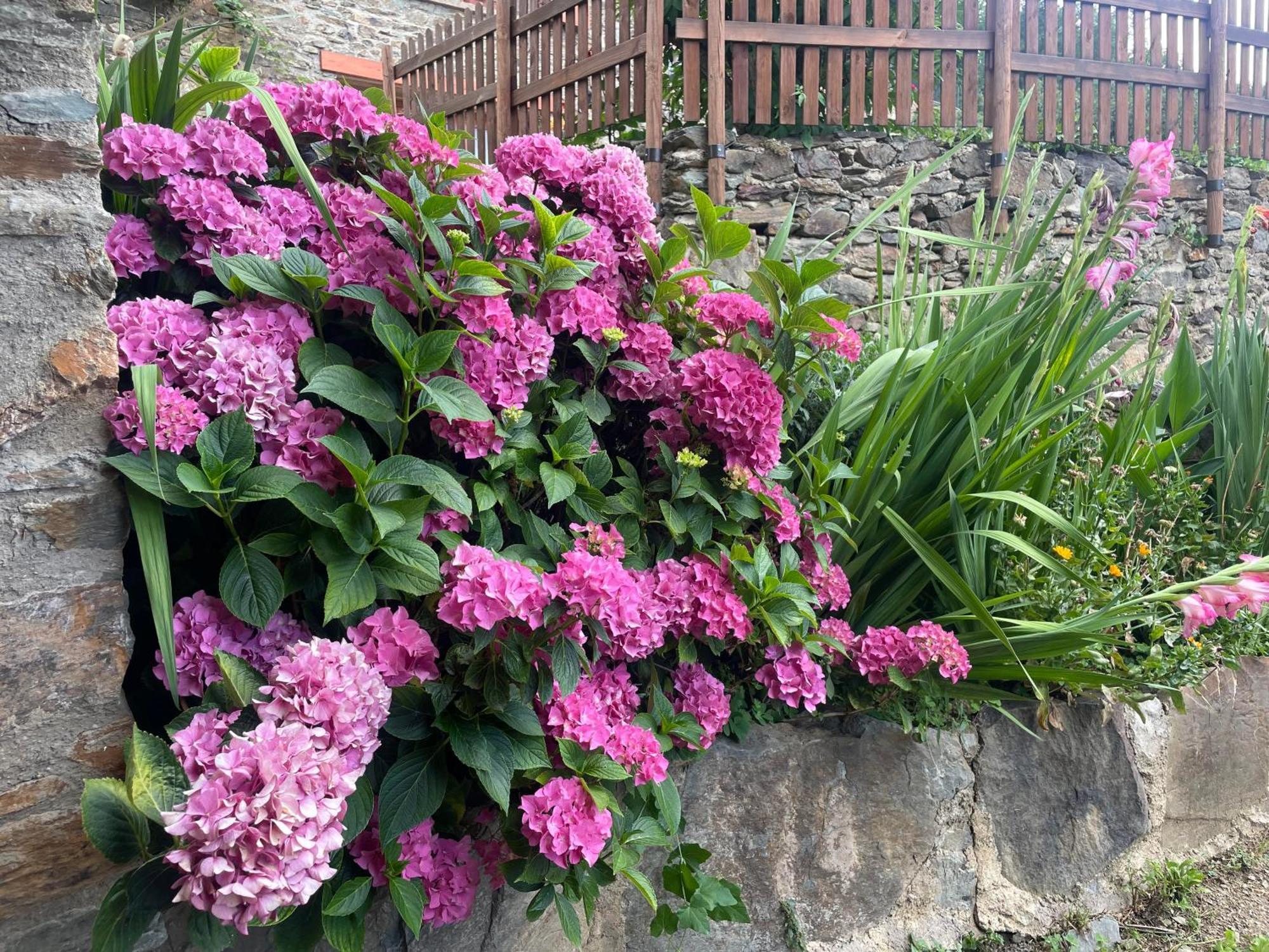Villa Ca L'Andreu Ventola Esterno foto